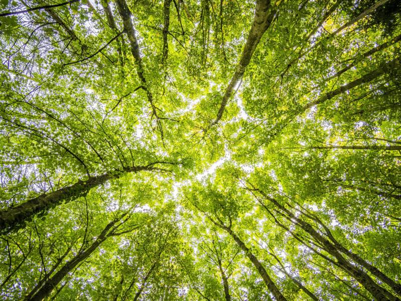 Affichage environnemental : les premiers enseignements de l’enquête clients GEMO sur l’Ecodesign Score du DEFI